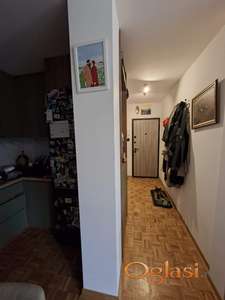 Izdajem jednoiposoban stan na Limanu 1
